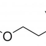 Acetylcholine in the body
