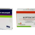 Actovegin and Cortexin help improve memory functions and information perception