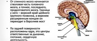 Anatomical structure
