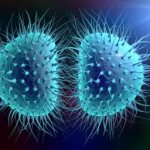 Aseptic meningitis: Causes, symptoms and treatments