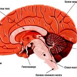 Атрофия мозжечка