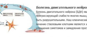 БДН
