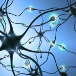 What to do if you have memory lapses