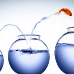 What are human ambitions, how to develop and realize them?