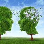 Dementia is a common complication of recurrent lacunar infarctions