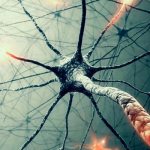 Demiliated brain disease