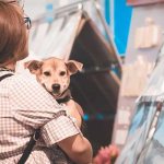 Девочка с собакой на руках