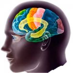 Diffuse changes in bioelectrical activity of the brain