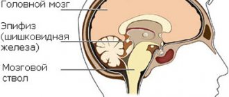 The pineal gland is one of the deep centers of the brain