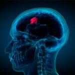 Этиологические факторы - Лето