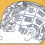 Gall&#39;s phrenological maps.