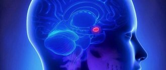 Гипофиз головного мозга - отклонения и нарушения функций, симптомы недостатка
