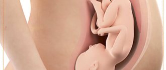 hysterical pregnancy