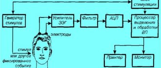 Как работает метод вызванных потенциалов