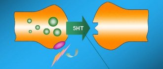 How SSRIs work