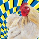 Как загипнотизировать курицу. Магия для каждого: как загипнотизировать курицу