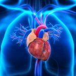 Кардиофобия