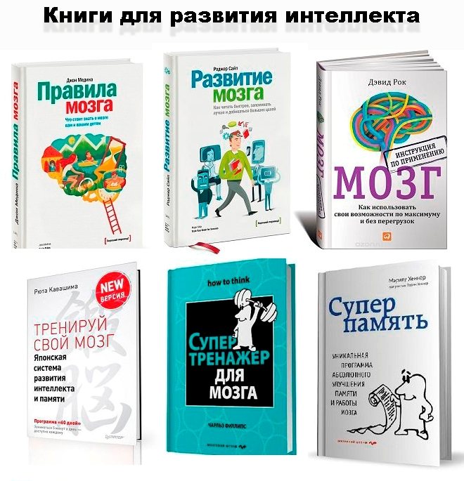 Понятие интеллекта (стр. 1 из 3)