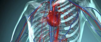 blood flow