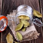 Лавровый лист