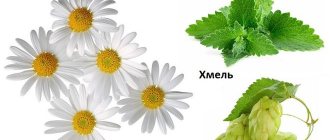 Лечебные травы