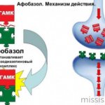 Mechanism of action of the drug