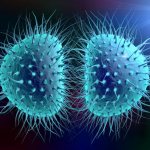 менингит без температуры симптомы