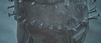 Месть обидчику-начальнику на расстояние по фото.