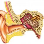 нарушения вестибулярного аппарата лечение