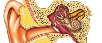 Vestibular disorders treatment