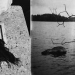 Irresistible laziness picture