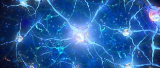 Nerve cells