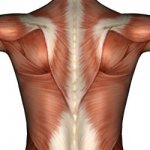 Neuralgia of the back