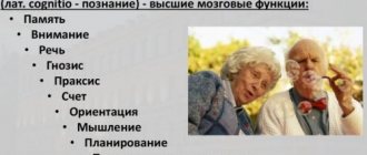 Основные когнитивные функции