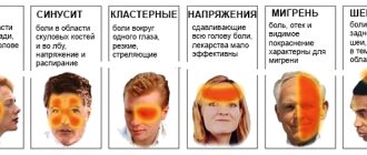 Почему болит затылочная часть головы