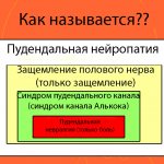 Половой нерв у женщин