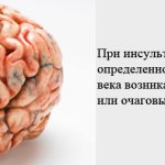 When the brain is damaged, its function is disrupted