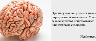 При поражении головного мозга нарушается его работа