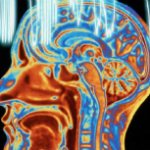 Reasons for development