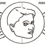 The secret of success: logic or emotions? Connecting the right hemisphere 