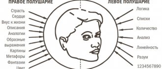The secret of success: logic or emotions? Connecting the right hemisphere