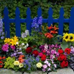 сила мысли как притянуть что желаешь