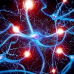 симптомы поражения пирамидного пути