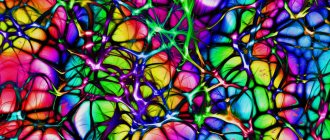 Синаптические связи между нейронами