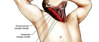 scalene muscle syndrome and its classification