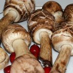 How long to cook mushrooms and umbrellas