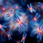 Способность шизофрении передавать особенности своего развития потомкам