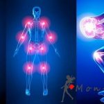 Structure and function of the peripheral nervous system