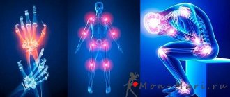 Structure and function of the peripheral nervous system