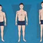 Three body types
